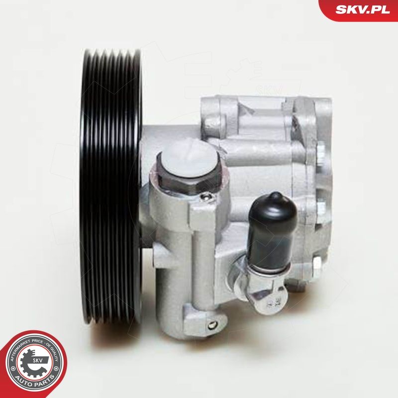 Hüdraulikapump, roolimine, ESEN SKV 10SKV009