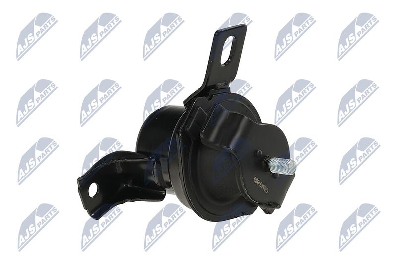 Paigutus, Mootor, NTY ZPS-MS-069