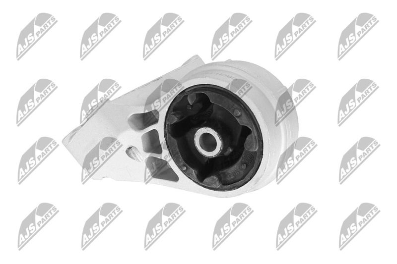 Paigutus, Mootor, NTY ZPS-CH-148