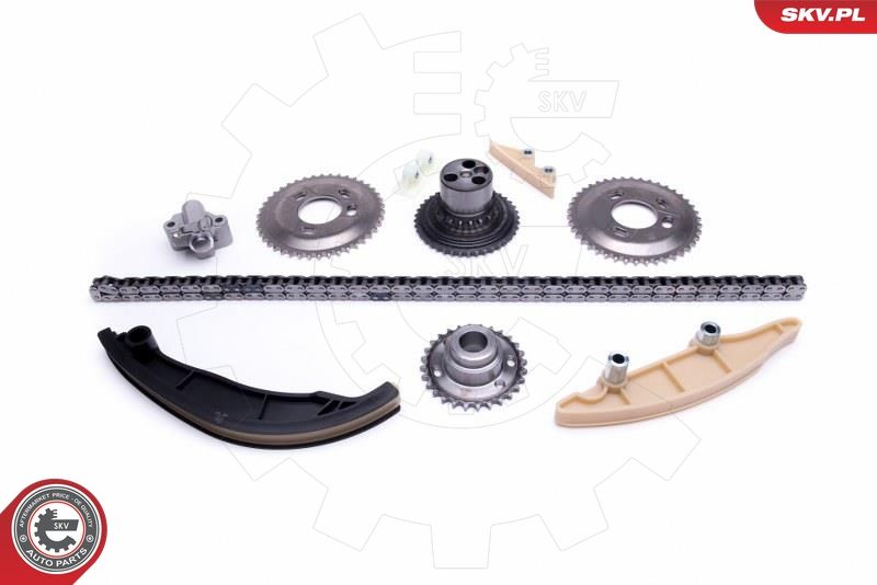 ESEN SKV 21SKV189 Timing Chain Kit