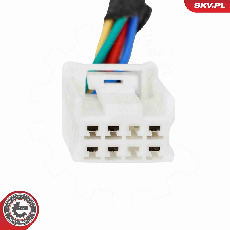 ESEN SKV 52SKV296 Electric Motor, tailgate