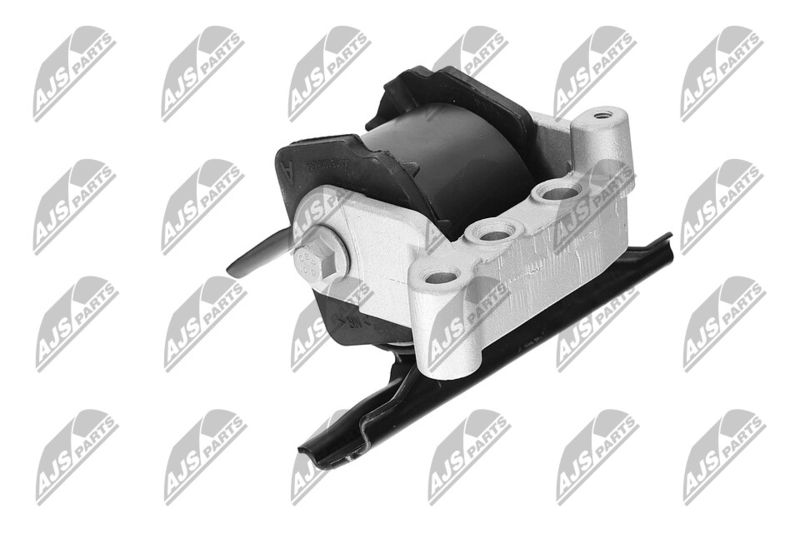 Paigutus, Mootor, NTY ZPS-CH-071