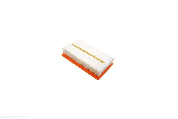 AUTOMEGA 250051510 Air Filter