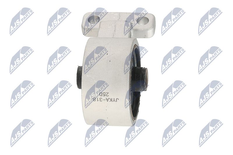 Paigutus, Mootor, NTY ZPS-KA-318