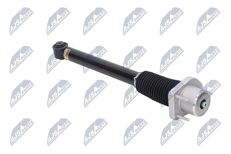 Amort, NTY A-LR-015