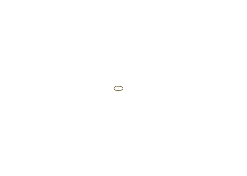 Image 14