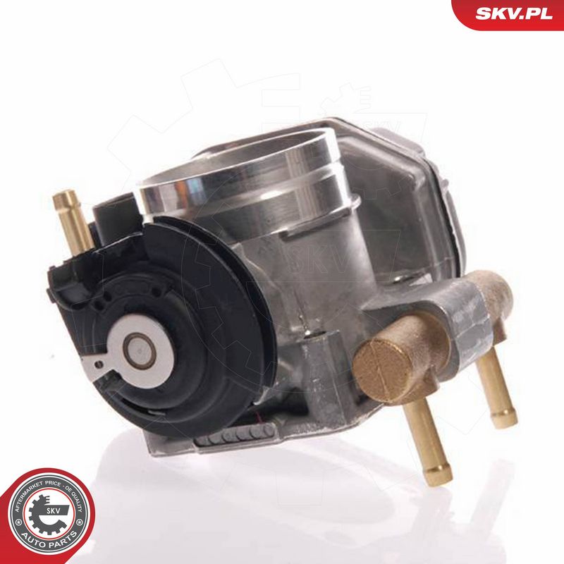 ESEN SKV 12SKV016 Throttle Body