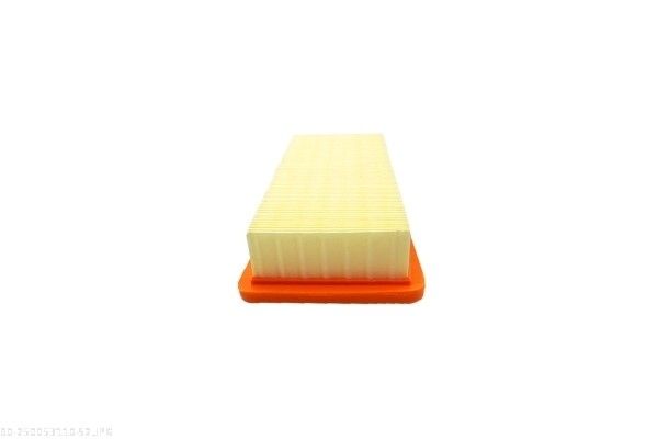 AUTOMEGA 250053110 Air Filter