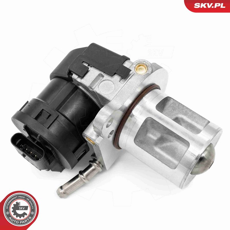 ESEN SKV 14SKV261 EGR Valve