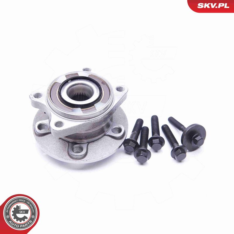 ESEN SKV 29SKV175 Wheel Bearing Kit