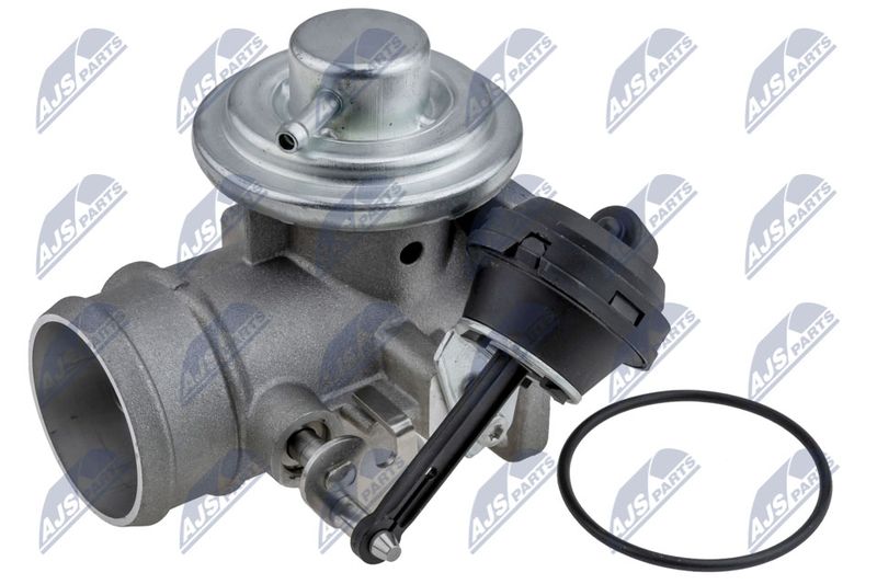 EGR-VW-062_1-WM.JPG