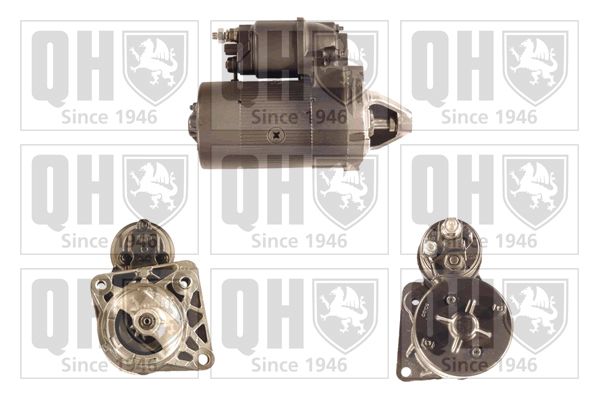 QH_QRS1106_GRUPPE.JPG