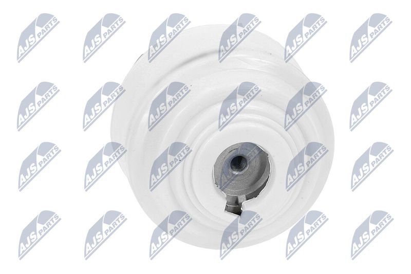 Paigutus, Mootor, NTY ZPS-ME-099