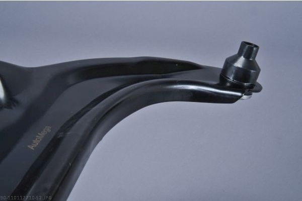 AUTOMEGA 110117710 Control/Trailing Arm, wheel suspension