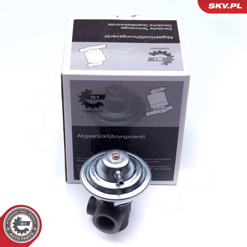 EGR-klapp, ESEN SKV 14SKV187
