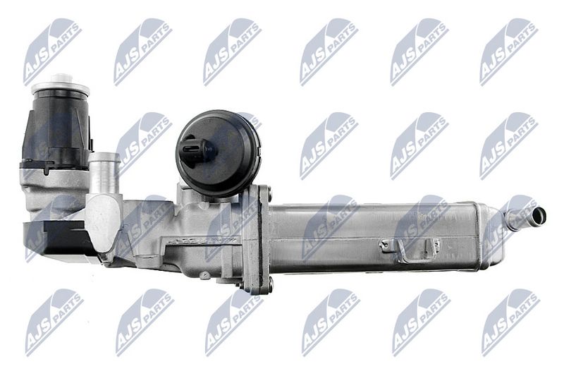 egr-vw-007_9-wm.JPG