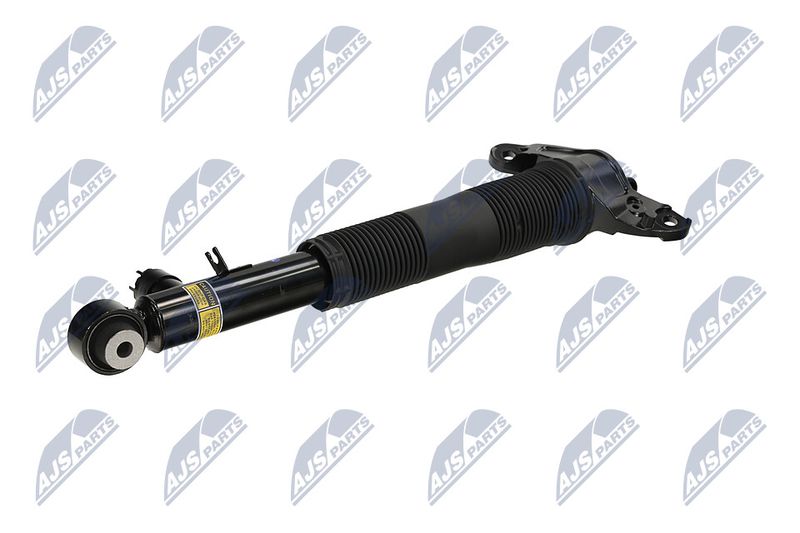 Amort, NTY A-LR-036