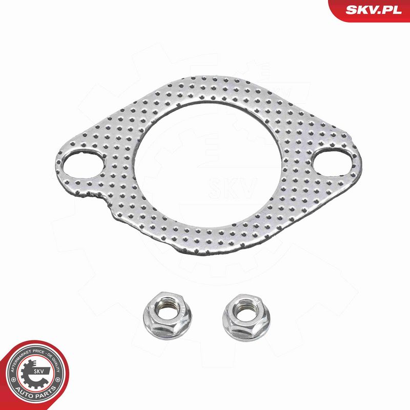 ESEN SKV 62SKV558 DPF filtras