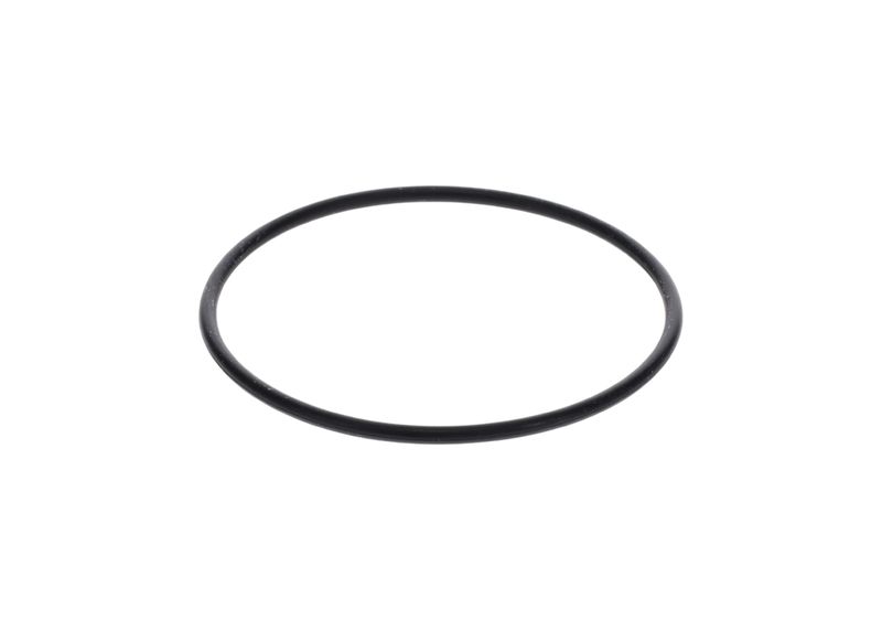 Inel de etansare 1 900 210 154 BOSCH