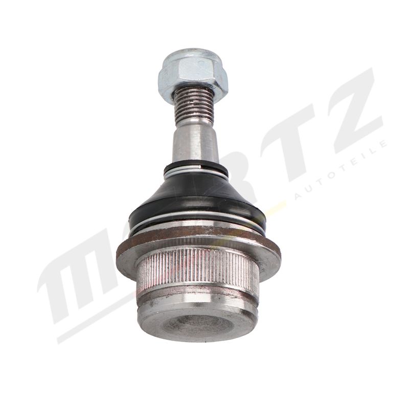 M-S1459_3.JPG