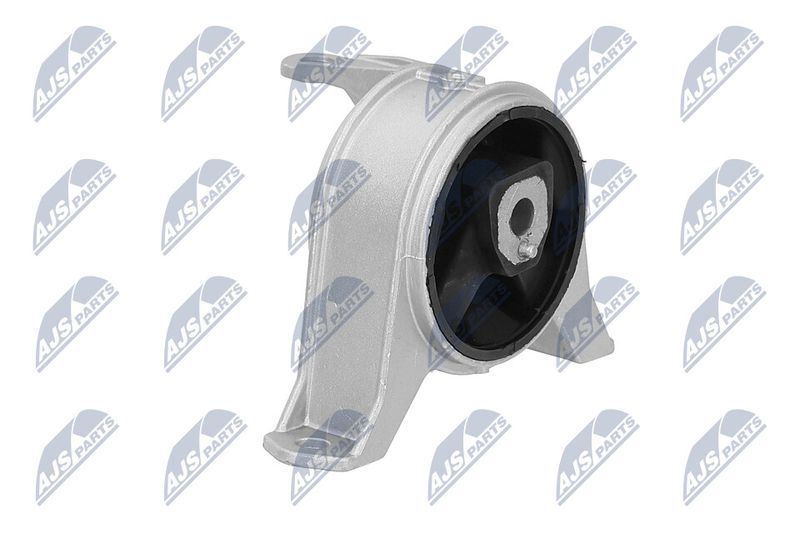 Paigutus, Mootor, NTY ZPS-PL-001