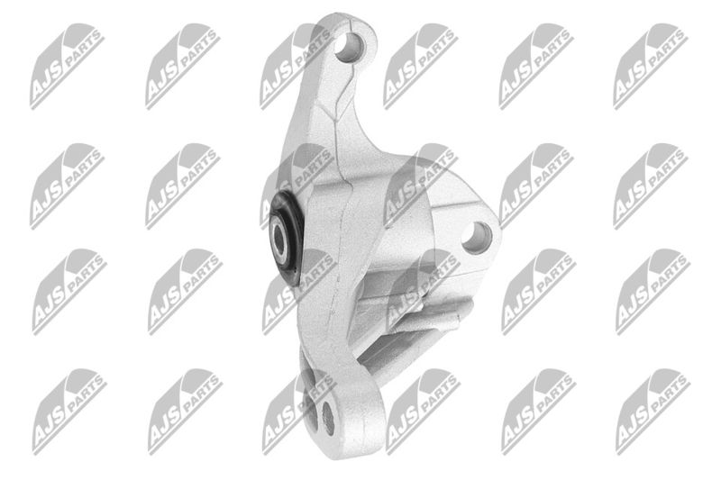 Paigutus, Mootor, NTY ZPS-FR-049