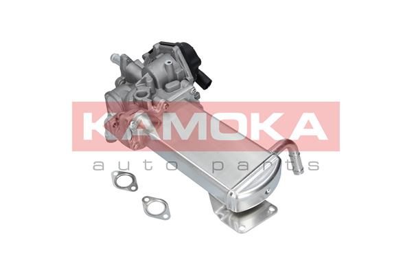 KAMOKA 19069 EGR Module