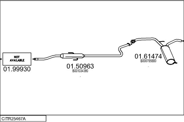 CITR25467A.JPG