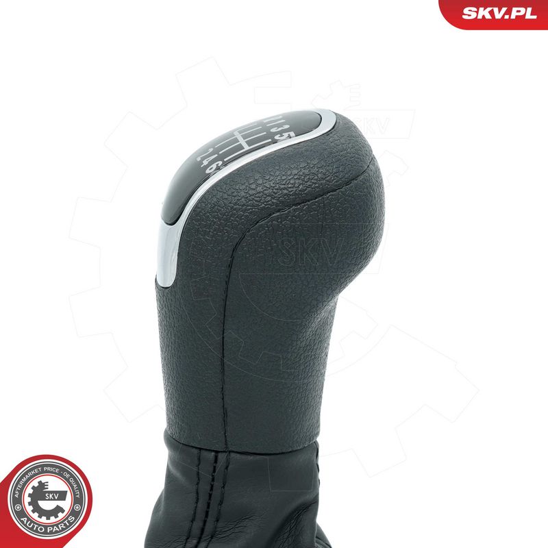 Käigukanginupp, ESEN SKV 63SKV483