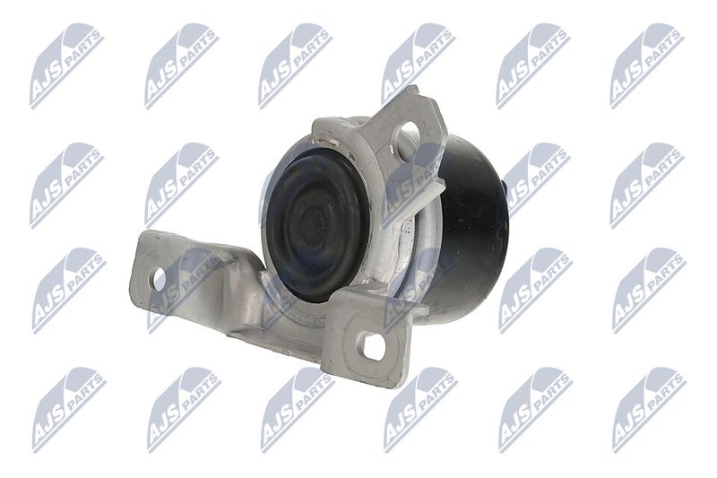 Paigutus, Mootor, NTY ZPS-LR-003