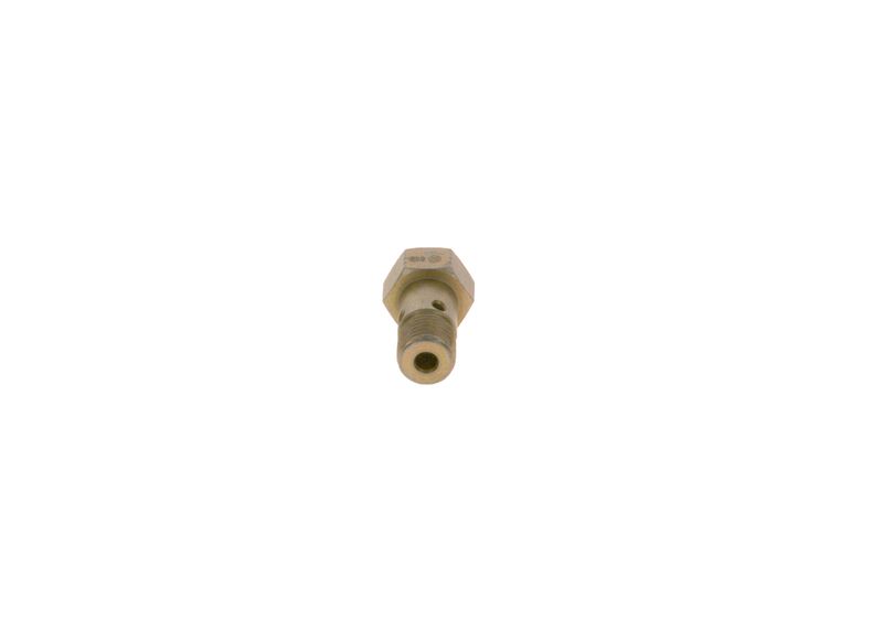 BOSCH 2417413099 EGR Valve