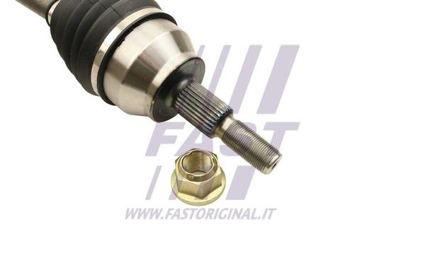 FT27194_3_1.JPG