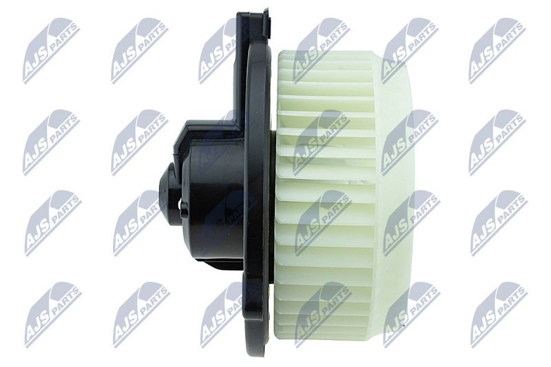 Salongipuhur, NTY EWN-HD-005