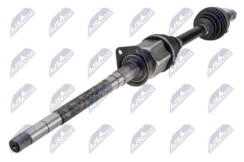 npw-fr-205_1-wm.JPG