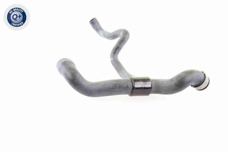 VAICO V30-1660 Radiator Hose