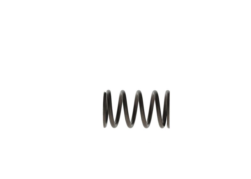 BOSCH F 00R 0P1 279 Spring