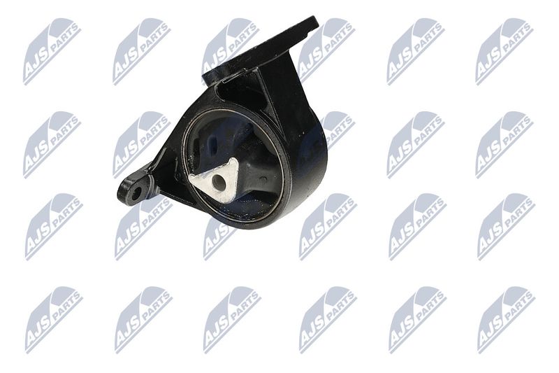 Paigutus, Mootor, NTY ZPS-CH-006