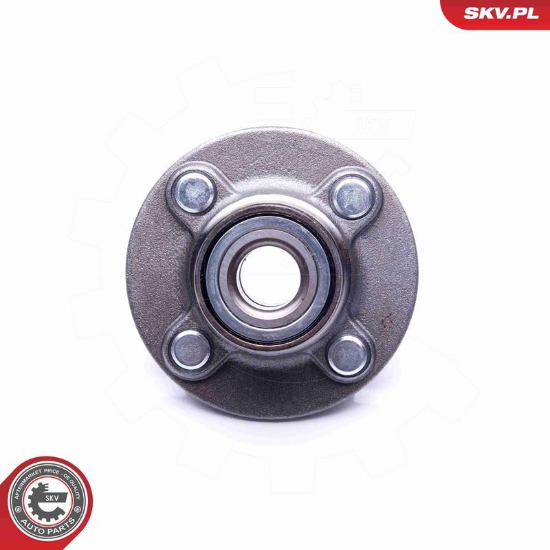 ESEN SKV 29SKV194 Wheel Bearing Kit