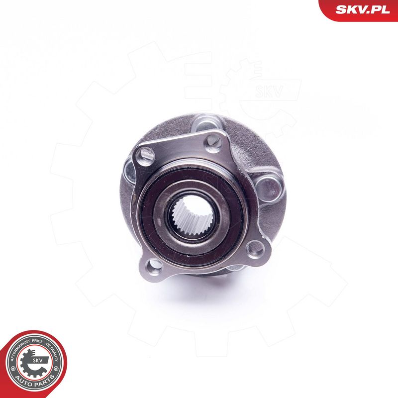 Rattalaagrikomplekt, ESEN SKV 29SKV181