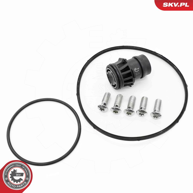 ESEN SKV 18SKV810 Repair Set, vacuum pump (braking system)