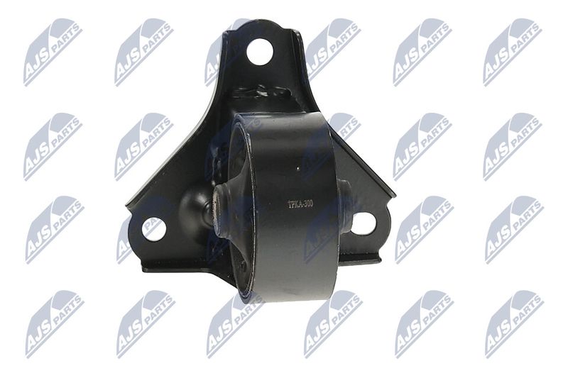 Paigutus, Mootor, NTY ZPS-KA-300