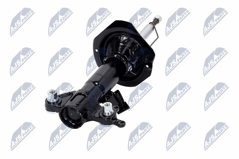 Amort, NTY A-NS-016