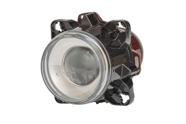 Hella 1LL 008 193-117 Insert, headlight