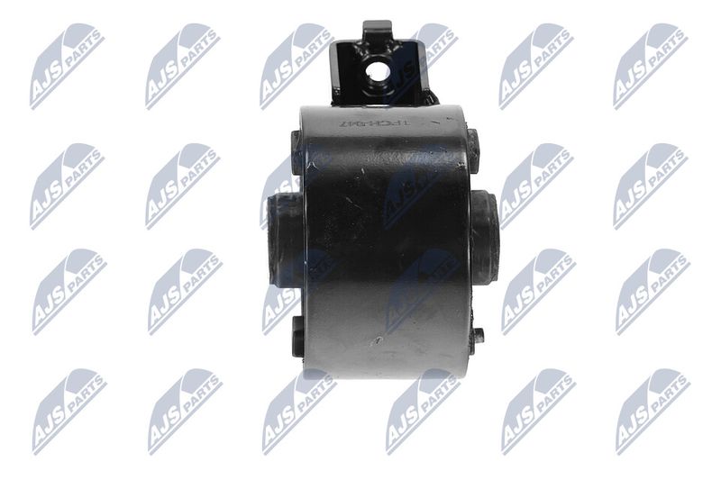 Paigutus, Mootor, NTY ZPS-CH-047