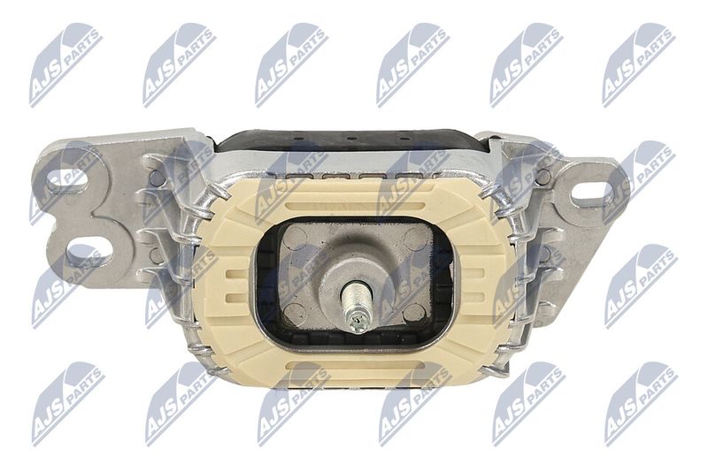 Paigutus, Mootor, NTY ZPS-PE-033
