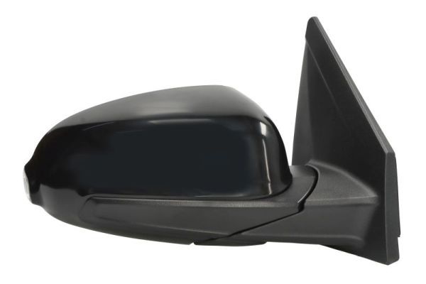 BLIC 5402-20-2238313P Exterior Mirror