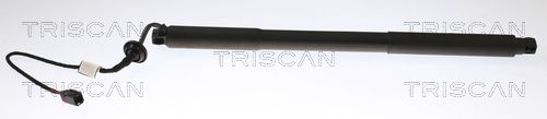 TRISCAN Gasveer, kofferruimte 8710 27302