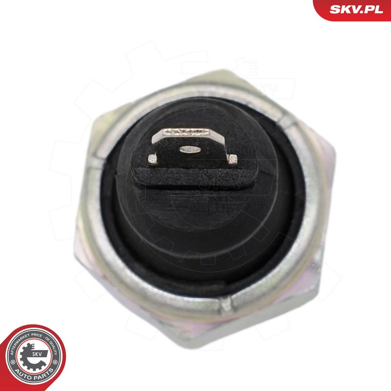 Prekės atitinka OEM kodą: 68 919 081 D