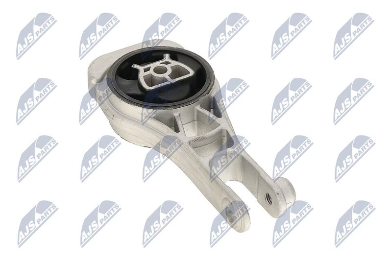 Paigutus, Mootor, NTY ZPS-PL-079