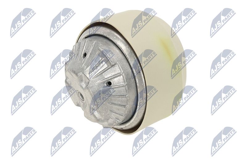 Paigutus, Mootor, NTY ZPS-ME-100